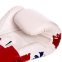 Боксерські рукавиці шкіряні FAIRTEX BGV1-THAI THAI PRINT 10-14унцій білий-синій-червоний 2