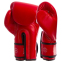 Перчатки боксерские FAIRTEX BGV14 10-16 унций цвета в ассортименте 9