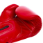 Перчатки боксерские FAIRTEX BGV14 10-16 унций цвета в ассортименте 11