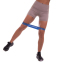 Набор резинок для упражнений ленты сопротивлений LOOP BANDS World Fitness FI-2184 5шт цвета в ассортименте 5