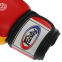 Перчатки боксерские кожаные FARTEX FTX065 10-14унций цвета в ассортименте 2