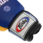 Перчатки боксерские кожаные FARTEX FTX065 10-14унций цвета в ассортименте 7