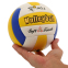 М'яч волейбольний сувенірний SP-Sport VOLLEYBALL VB-1291 №2 PVC кольори в асортименті 4