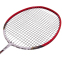 Ракетка для бадминтона профессиональная в чехле YONEX BD-5671 цвета в ассортименте 12