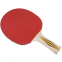 Ракетка для настольного тенниса DONIC LEVEL 300 MT-705031 TOP TEAM цвета в ассортименте 1