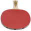 Ракетка для настольного тенниса DONIC LEVEL 300 MT-705031 TOP TEAM цвета в ассортименте 3