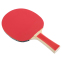 Набор для настольного тенниса DONIC LEVEL 300 MT-788634S 2 ракетки 3 мяча 1