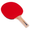 Набор для настольного тенниса DONIC APPELGREN 2 LEVEL 100 MT-788610 2 ракетки 3 мяча 1