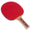 Набор для настольного тенниса DONIC LEVEL 150 MT-788497 2 ракетки 3 мяча 1