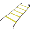 Координационная лестница дорожка для тренировки скорости Zelart FI-2565 6м салатовый 3