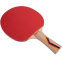 Ракетка для настольного тенниса GIANT DRAGON GUARD P40+ 2* MT-5688 ST12204P цвета в ассортименте 0