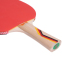 Ракетка для настільного тенісу GIANT DRAGON GUARD P40+ 2* MT-5688 ST12204P кольори в асортименті 3