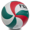 Мяч волейбольный FOX SD-V8000 №5 PU клееный 3