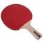 Набор для настольного тенниса DUNLOP DL679332 D TT MATCH 2 PLAYER SET 2 ракетки 3 мяча 1