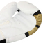 Боксерські рукавиці CIMA BO-8964 10-12 унцій кольори в асортименті 17