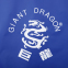 Чохол для складеного тенісного столу GIANT DRAGON MT-6565 C001 INDOOR синій 8