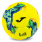 Мяч футбольный Joma DALI IV 401954-067-T4 №4 желтый-синий 2