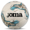 Мяч футбольный Joma DALI IV 401954-211-T5 №5 белый-серый 0