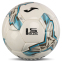 Мяч футбольный Joma DALI IV 401954-211-T5 №5 белый-серый 1