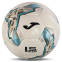 Мяч футбольный Joma DALI IV 401954-211-T5 №5 белый-серый 2