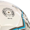 Мяч футбольный Joma DALI IV 401954-211-T5 №5 белый-серый 4