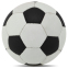 М'яч футбольний Leather CLASSIC BALLONSTAR FB-0045 №5 білий-чорний 1