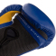 Перчатки боксерские EVERLAST PRO STYLE ELITE P00001206 16 унций синий-черный 2