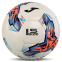 Мяч футбольный Joma DALI IV 401954-219-T5 №5 белый-оранжевый 1