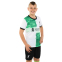 Форма футбольна дитяча із символікою футбольного клубу LIVERPOOL гостьова 2024 SP-Planeta CO-6335 6-14 років білий-зелений 3