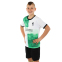 Форма футбольна дитяча із символікою футбольного клубу LIVERPOOL гостьова 2024 SP-Planeta CO-6335 6-14 років білий-зелений 5