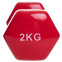 Гантель для фитнеса с виниловым покрытием Zelart FI-2825-2 1шт 2кг красный 1