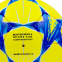 Мяч футбольный ДИНАМО-КИЕВ BALLONSTAR FB-0047-6591 №5 желтый-синий 1