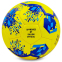 Мяч футбольный ДИНАМО-КИЕВ BALLONSTAR FB-0047-6593 №5 желтый-синий-голубой 0