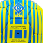 Мяч футбольный ДИНАМО-КИЕВ BALLONSTAR FB-6685 №5 желтый-синий 1