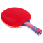 Набор для настольного тенниса GIANT DRAGON 4* MT-6540 1 ракетка 3 мяча чехол 1