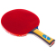 Набор для настольного тенниса GIANT DRAGON 4* MT-6541 1 ракетка 3 мяча чехол 1