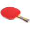 Набор для настольного тенниса GIANT DRAGON KARATE P40+4* MT-6544 1 ракетка 3 мяча 1