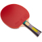 Набор для настольного тенниса GIANT DRAGON KARATE P40+4* MT-6546 2 ракетки 3 мяча чехол 2