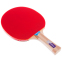 Набор для настольного тенниса GIANT DRAGON TAICHI P40+3* MT-6506 2 ракетки 3 мяча сетка чехол 2