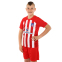 Форма футбольная детская с символикой футбольного клуба ATLETICO MADRID домашняя 2024 SP-Planeta CO-6357 6-14 лет красный-белый 2