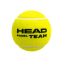 Мячи для большого тенниса HEAD Championship 575203 3шт салатовый 1