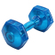 Гантель для фітнесу з TPU покриттям Zelart Jelly Urethane Coated Dumbbells TA-2946-12_5LB 1шт 5,7кг синій 0