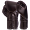 Боксерські рукавиці FAIRTEX BGV14SB 10-16 унцій чорний 0