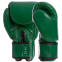 Боксерські рукавиці шкіряні FAIRTEX BGV16 10-14унцій кольори в асортименті 9