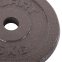 Блини (диски) сталеві d-30мм Zelart TA-7789-5 5кг сірий 2