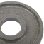 Блини (диски) сталеві d-52мм Zelart TA-7792-1_25 1,25 кг сірий 2
