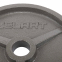 Блины (диски) стальные d-52мм Zelart TA-7792-15 15кг серый 2
