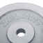 Блины (диски) хромированные d-30мм Zelart TA-7786-10 10кг хром 2