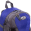 Рюкзак спортивний з твердою спинкою COLOR LIFE TY-996 14л кольори в асортименті 5