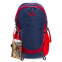 Рюкзак спортивный с жесткой спинкой COLOR LIFE TY-5293 22л цвета в ассортименте 1
